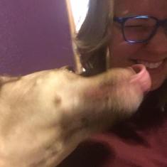 16425928_10200129159694249_5194759424778295218_n